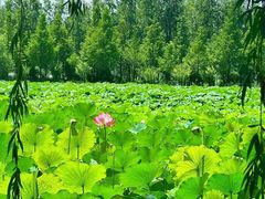 -美味居(古城店)