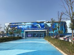 -芜湖新华联大白鲸海洋公园