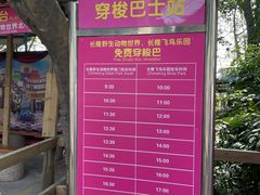 -广州长隆飞鸟乐园