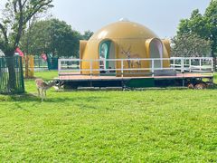 -苏州太湖西山岛开心农场