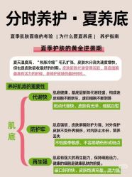 -YESIDO椰岛美容