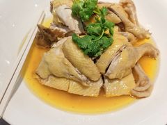 -鸽云轩(望牛墩店)