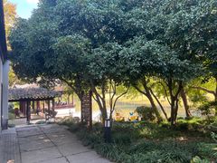 -上海方塔园