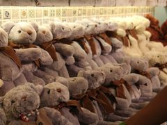 -济州岛泰迪熊博物馆