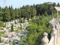 -原山国家森林公园