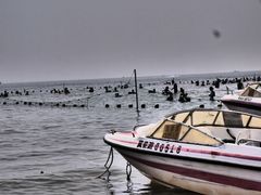 android_upload_pic-南戴河国际娱乐中心