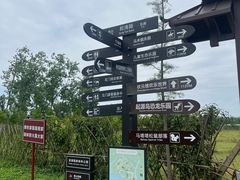 -合肥滨湖国家森林公园