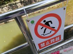 -中山市树木园