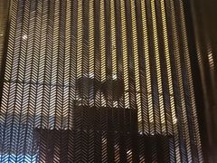 -上海璞麗酒店