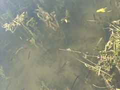 -暨阳湖生态园