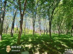 -大望京公园