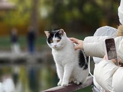 -西园寺素食(西园弄戒幢律寺店)