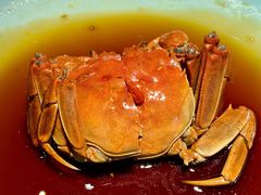 -蟹榭(静安寺晶品商场店)