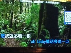 -佰迪乐KTV(江北丰宝商业城店)