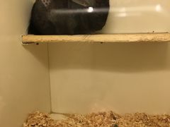 -龙猫仔乐园(惠福东路店)