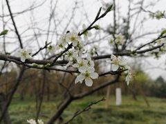 -桤木河湿地公园