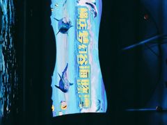-横店影视城梦幻谷园区