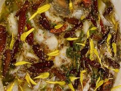 -青花椒花椒鱼(合生汇店)