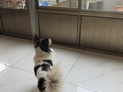 -美顺香食府鱼头老店(雪野湖店)