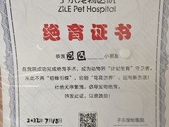 -子乐宠物医院