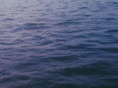 -水上明月·湖景餐厅