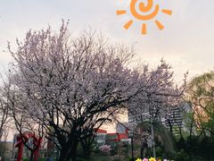 -双榆树公园