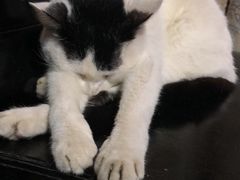 -CLUE演绎实景剧本杀(江南西店)