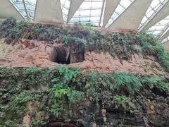 -乐山市博物馆