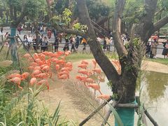 -武汉动物园