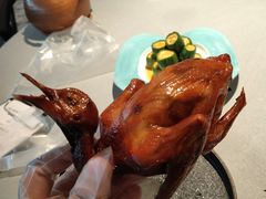 -大鸽饭(体育西路店)