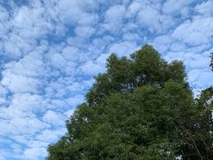 -中国石油(常德路加油站)