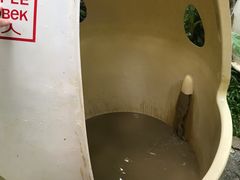 -100蛋泥浆浴