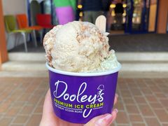 薄荷味冰激凌-Dooley's Premium Ice Cream