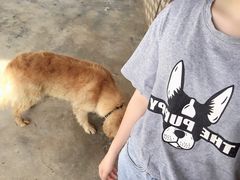 -星巴克(广州南站A18检票口楼上)