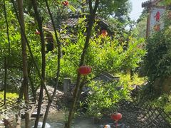 -青城甲(青城山店)