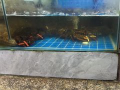 -范饭椰林川湘味海鲜·椰子鸡(三亚湾椰梦长廊店)