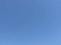 -春花秋色城市公园