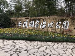 -西溪国家湿地公园