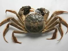 -十二海鲜(南湖店)