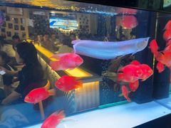 -叒缘夜光杯(望江橡树林店)