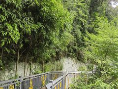 -广州市白云山风景名胜区