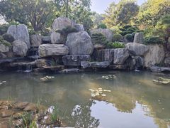 -东莞植物园