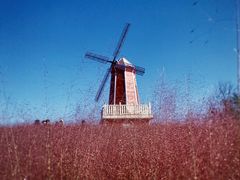 -羊亭河湿地公园