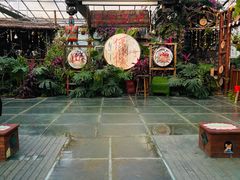 -呀路古热带植物园