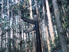 -冶父山国家森林公园