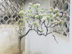-拙政园