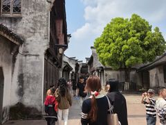 -乌镇东栅景区