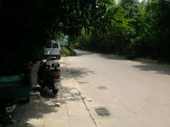 -镇江市南山风景名胜区竹林景区