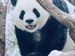 -北京动物园