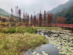 -广州市石门国家森林公园